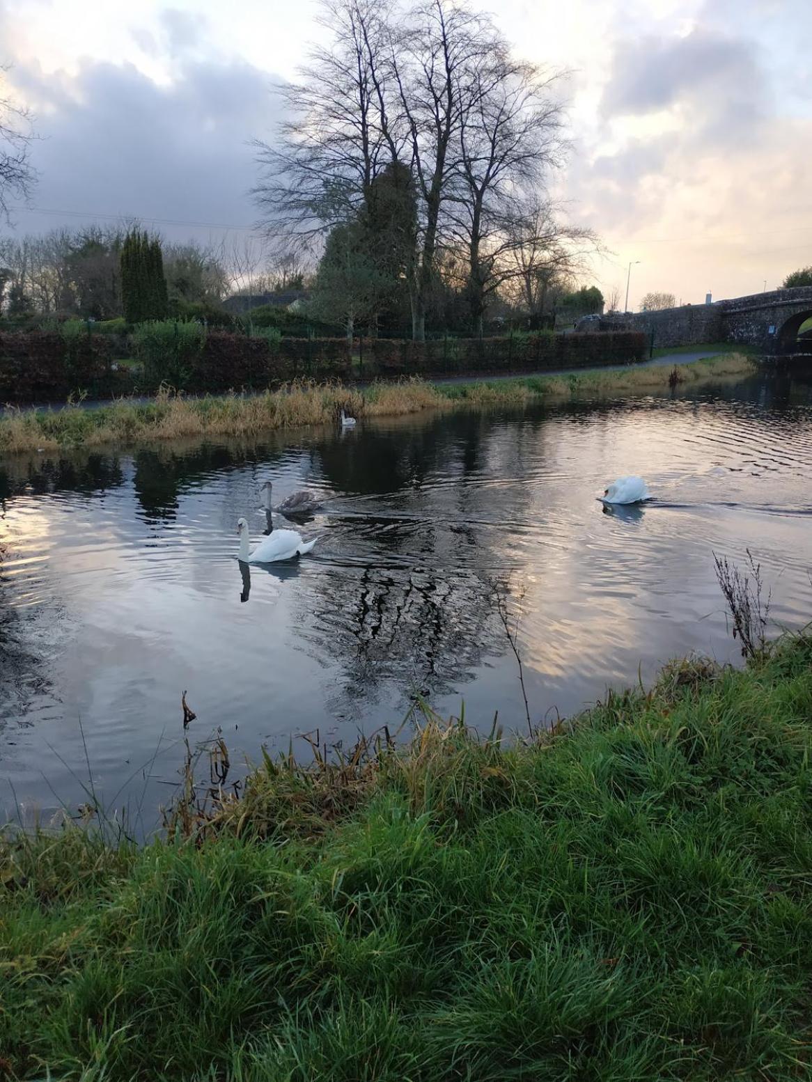 Greenway Guesthouse Mullingar Exteriér fotografie